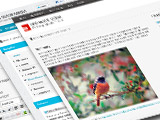 moodle-theme-promo-thumb