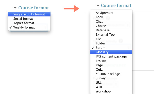 moodle-2.6-course-format-new