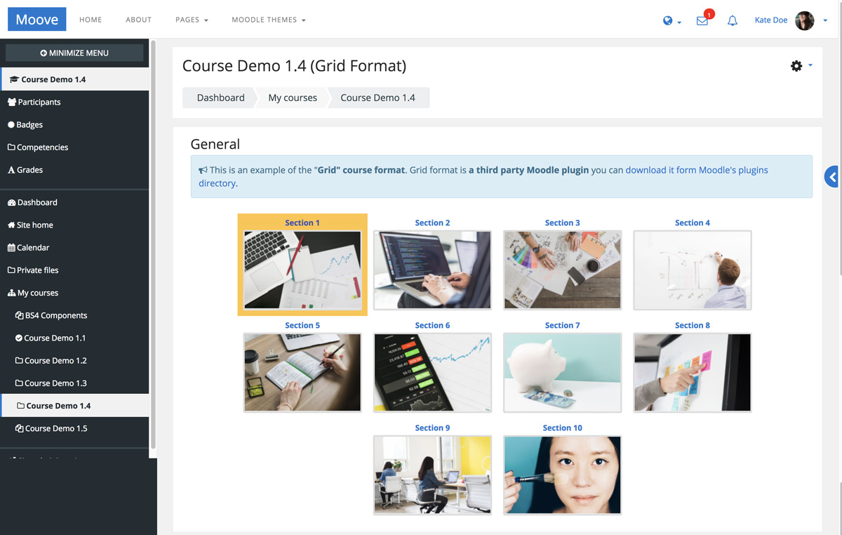 moodle-theme-moove-course-page-grid-format