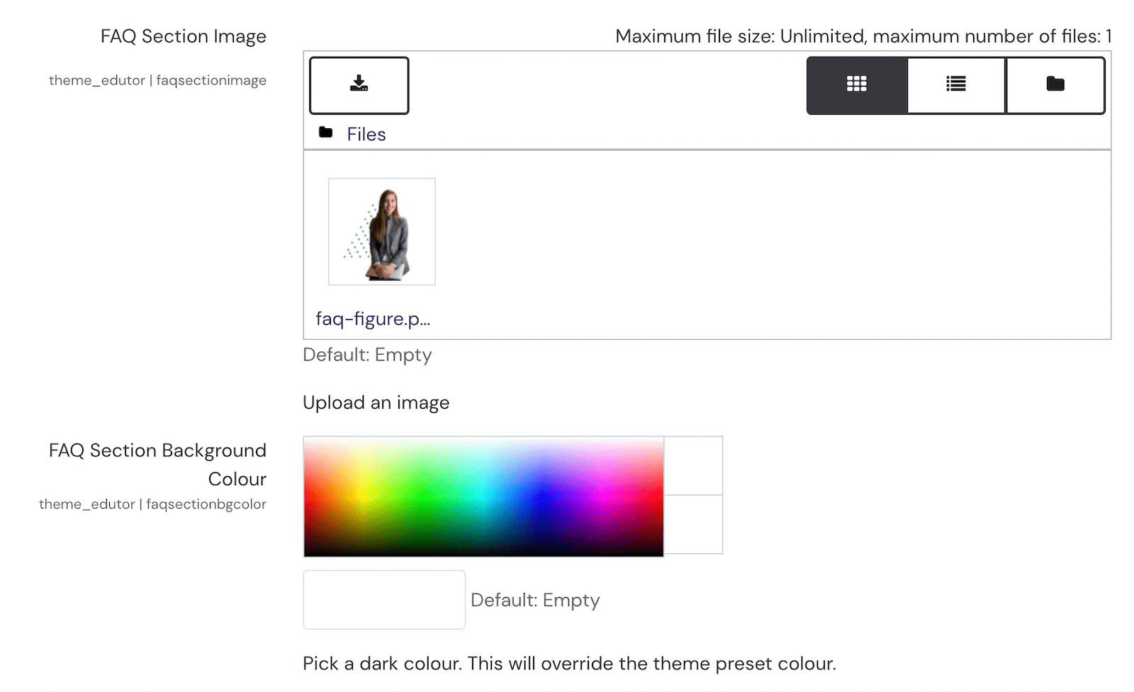 moodle-theme-edutor-faq-section-settings-change-color-upload-image
