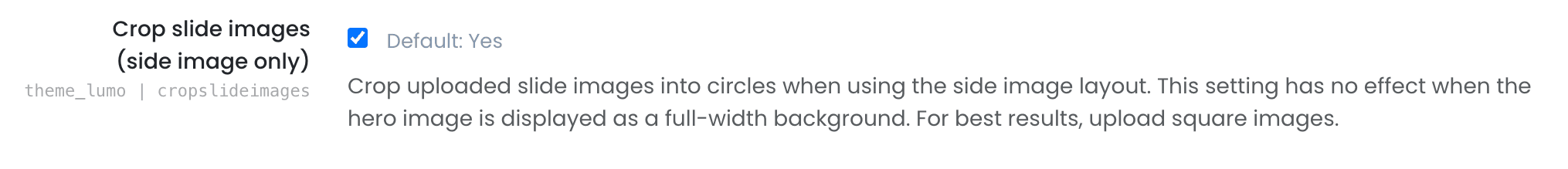 moodle-theme-lumo-hero-section-side-image-settings-image-cropping