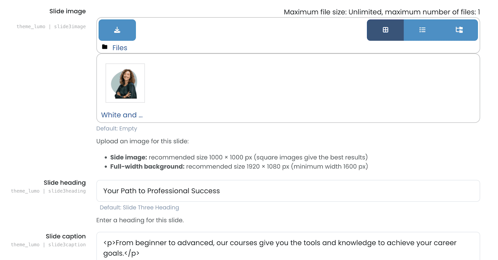 moodle-theme-lumo-light-mode-creative-side-image-example-4-settings-page
