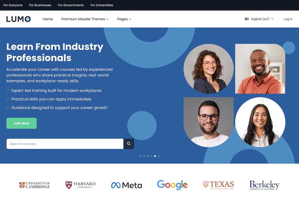 moodle-theme-lumo-hero-section-creative-side-image-demo-grid